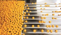 Medicine production in a pharmaceutical industry