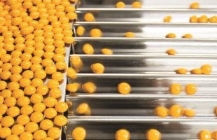 Medicine production in a pharmaceutical industry