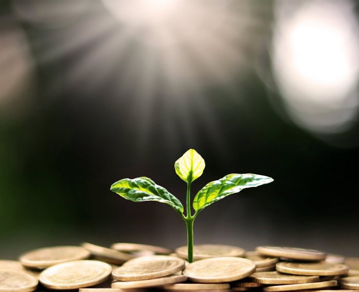 Plant a tree on coin pile with business ideas for finance, savin Plant a tree on coin pile with business ideas for finance, saving and economic growth.